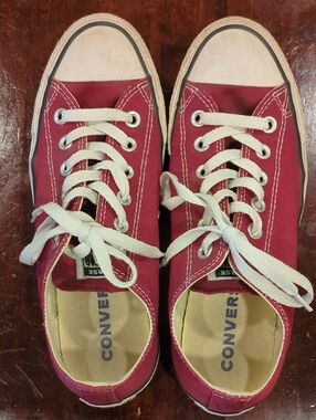 Chuck Taylor All Star Low Top Sneaker